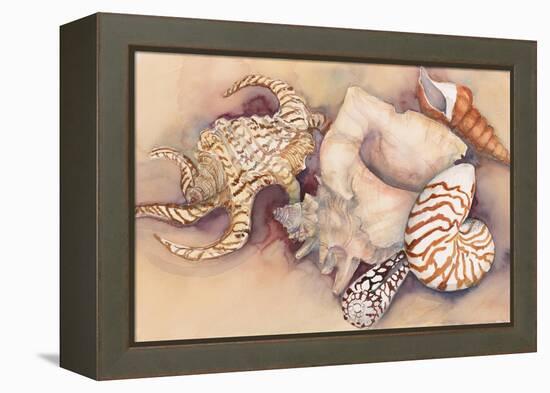 Sea Shells-Joanne Porter-Framed Premier Image Canvas