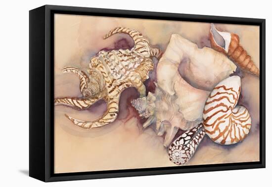 Sea Shells-Joanne Porter-Framed Premier Image Canvas