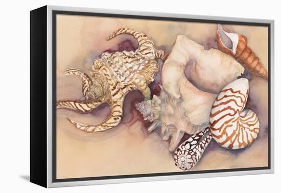 Sea Shells-Joanne Porter-Framed Premier Image Canvas