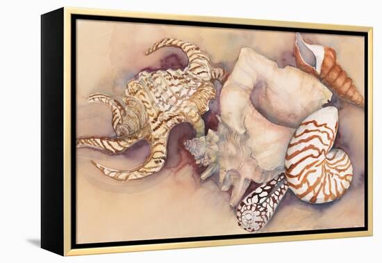 Sea Shells-Joanne Porter-Framed Premier Image Canvas