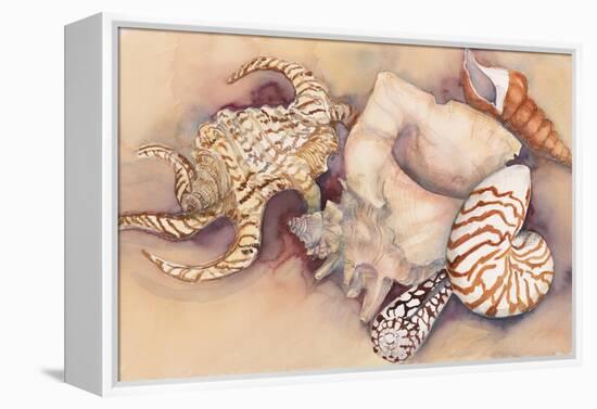 Sea Shells-Joanne Porter-Framed Premier Image Canvas