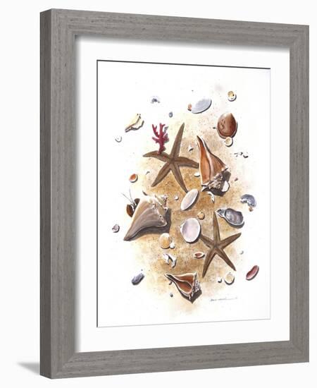 Sea Shells-null-Framed Giclee Print