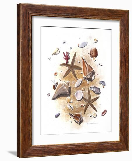 Sea Shells-null-Framed Giclee Print