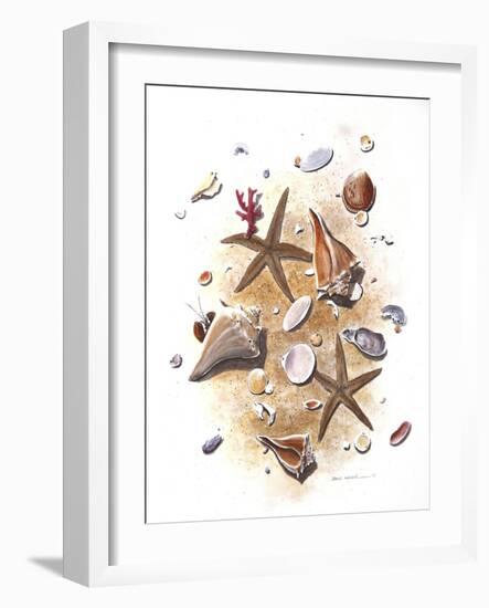 Sea Shells-null-Framed Giclee Print