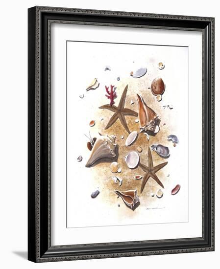 Sea Shells-null-Framed Giclee Print