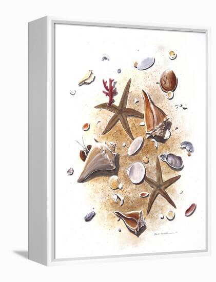 Sea Shells-null-Framed Premier Image Canvas