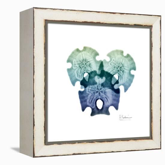 Sea Sky Sand Dollars-Albert Koetsier-Framed Stretched Canvas