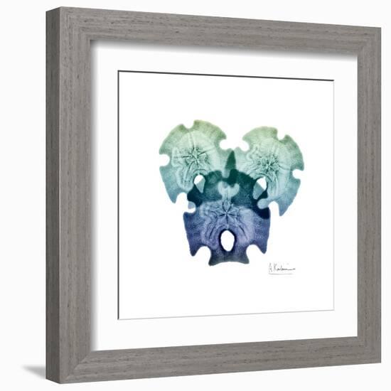 Sea Sky Sand Dollars-Albert Koetsier-Framed Art Print