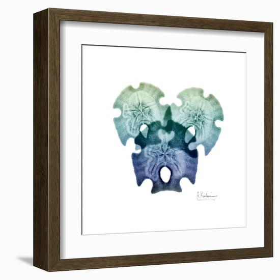 Sea Sky Sand Dollars-Albert Koetsier-Framed Art Print