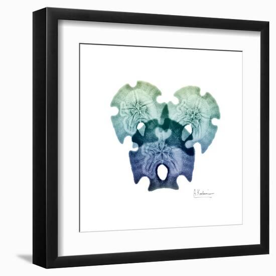 Sea Sky Sand Dollars-Albert Koetsier-Framed Art Print