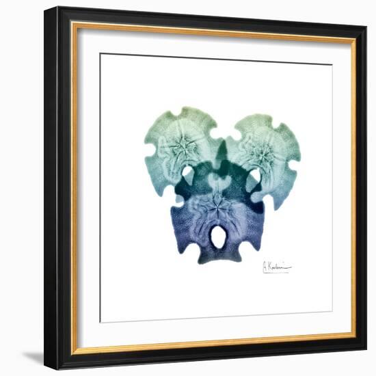 Sea Sky Sand Dollars-Albert Koetsier-Framed Premium Giclee Print