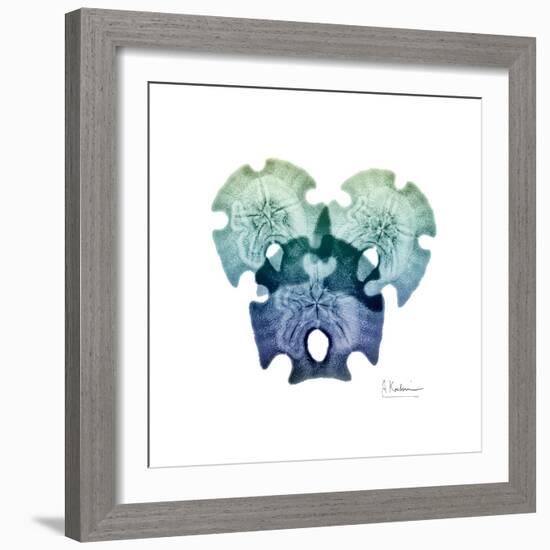 Sea Sky Sand Dollars-Albert Koetsier-Framed Art Print