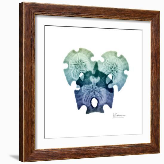 Sea Sky Sand Dollars-Albert Koetsier-Framed Art Print