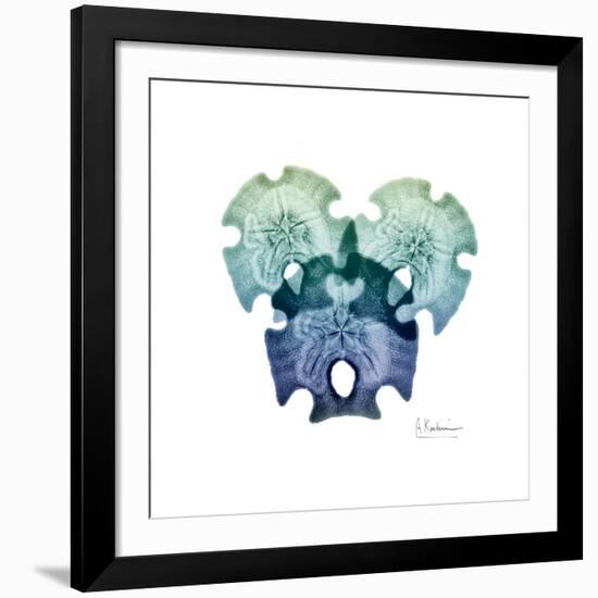 Sea Sky Sand Dollars-Albert Koetsier-Framed Giclee Print