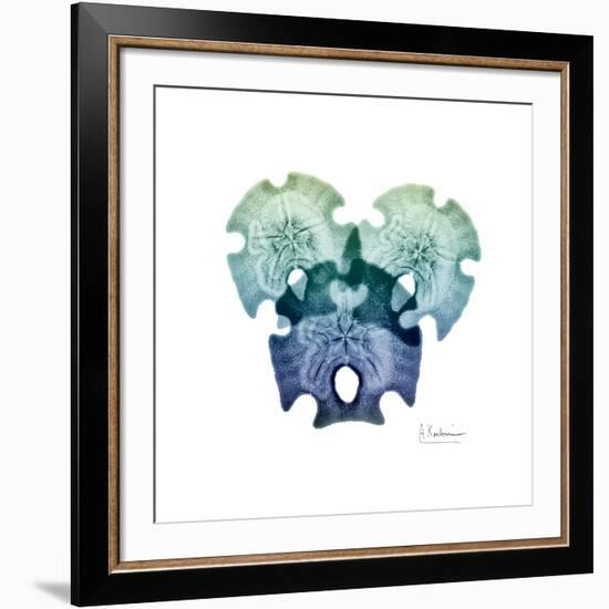 Sea Sky Sand Dollars-Albert Koetsier-Framed Giclee Print