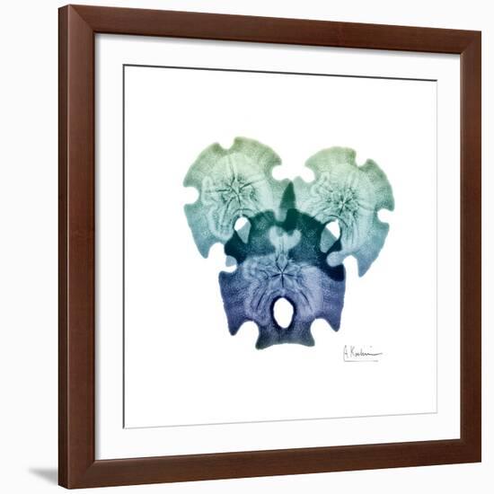 Sea Sky Sand Dollars-Albert Koetsier-Framed Giclee Print