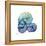 Sea Sky Snails-Albert Koetsier-Framed Stretched Canvas