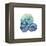 Sea Sky Snails-Albert Koetsier-Framed Stretched Canvas