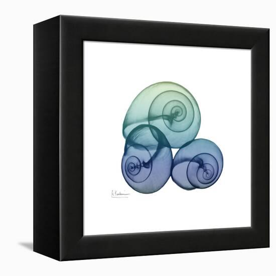 Sea Sky Snails-Albert Koetsier-Framed Stretched Canvas