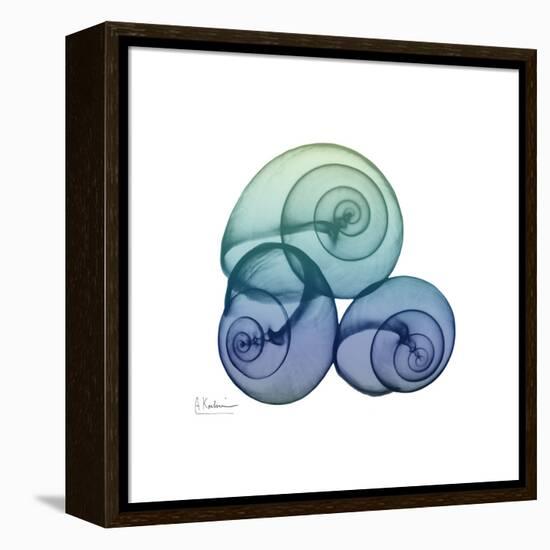 Sea Sky Snails-Albert Koetsier-Framed Stretched Canvas