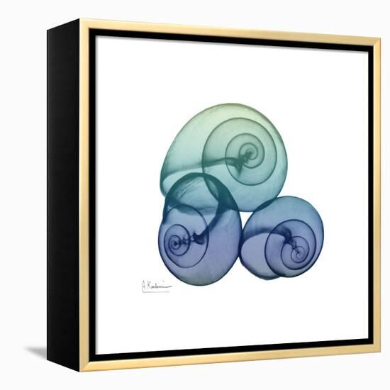 Sea Sky Snails-Albert Koetsier-Framed Stretched Canvas