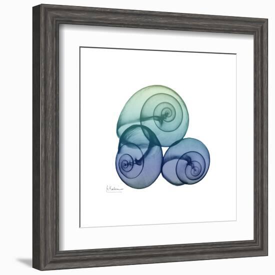 Sea Sky Snails-Albert Koetsier-Framed Art Print