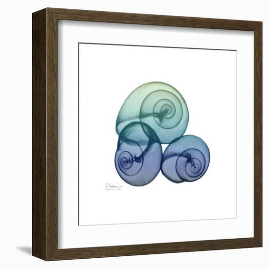 Sea Sky Snails-Albert Koetsier-Framed Art Print