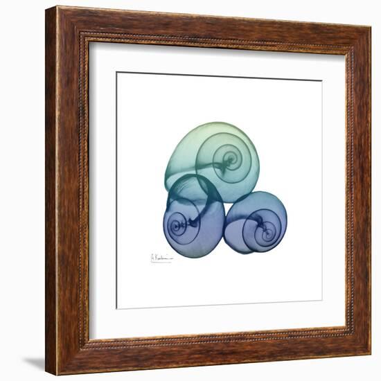 Sea Sky Snails-Albert Koetsier-Framed Art Print