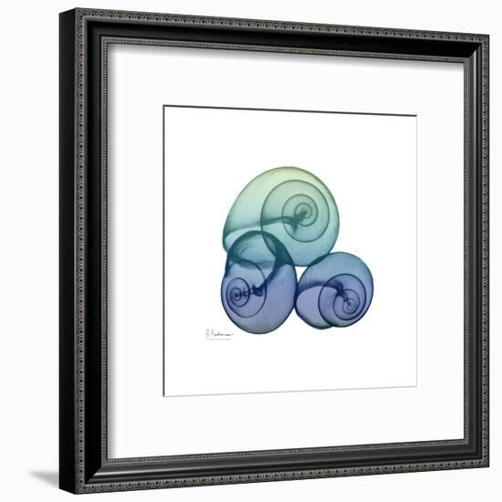 Sea Sky Snails-Albert Koetsier-Framed Art Print