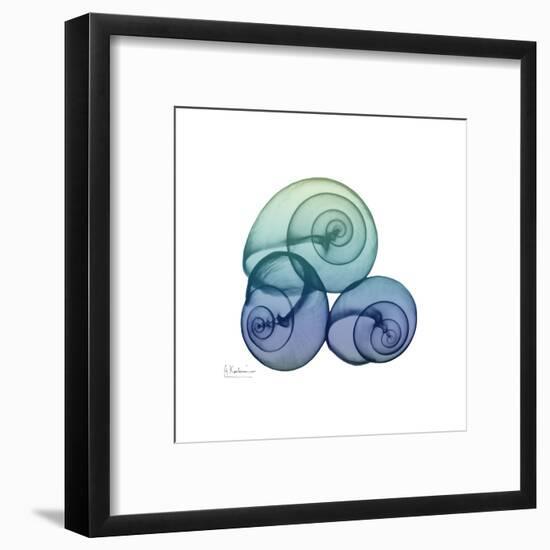 Sea Sky Snails-Albert Koetsier-Framed Art Print