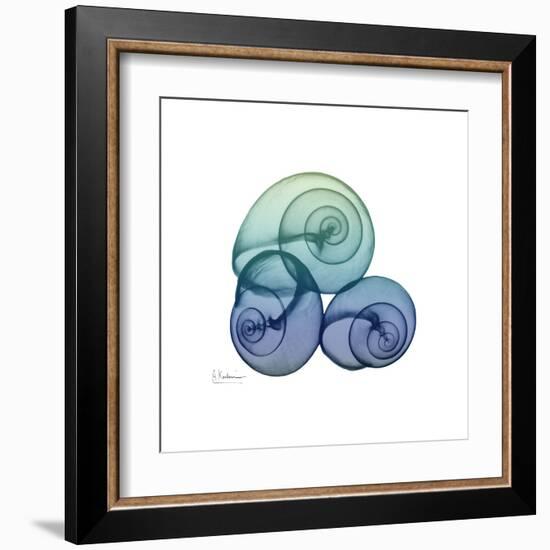 Sea Sky Snails-Albert Koetsier-Framed Art Print