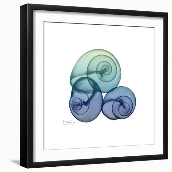 Sea Sky Snails-Albert Koetsier-Framed Premium Giclee Print