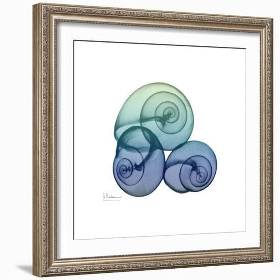 Sea Sky Snails-Albert Koetsier-Framed Art Print