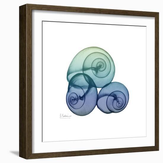 Sea Sky Snails-Albert Koetsier-Framed Art Print