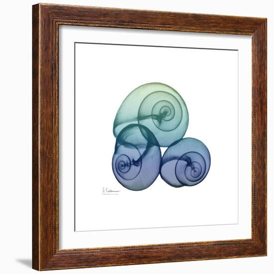 Sea Sky Snails-Albert Koetsier-Framed Art Print