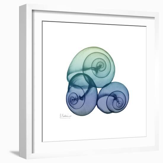 Sea Sky Snails-Albert Koetsier-Framed Art Print