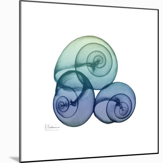 Sea Sky Snails-Albert Koetsier-Mounted Art Print