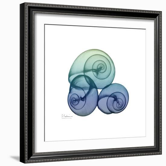 Sea Sky Snails-Albert Koetsier-Framed Art Print