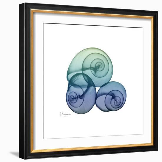 Sea Sky Snails-Albert Koetsier-Framed Art Print