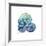 Sea Sky Snails-Albert Koetsier-Framed Giclee Print