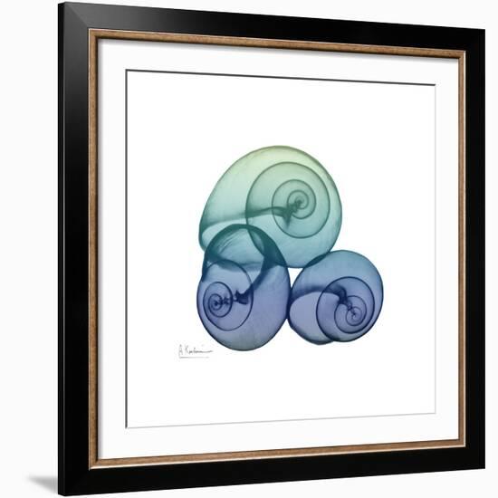 Sea Sky Snails-Albert Koetsier-Framed Giclee Print