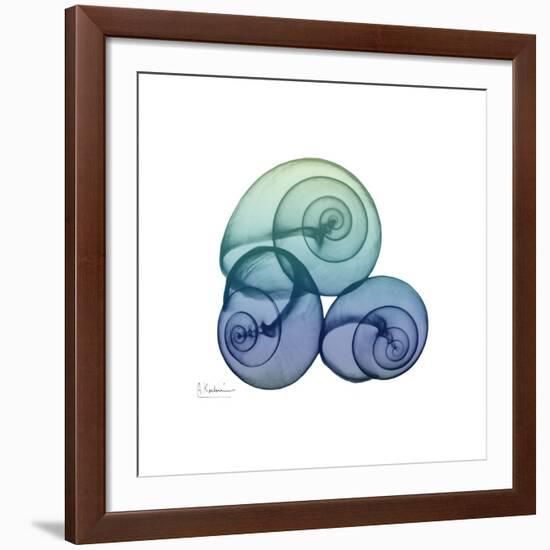 Sea Sky Snails-Albert Koetsier-Framed Giclee Print