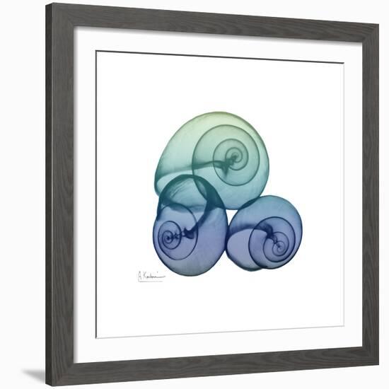 Sea Sky Snails-Albert Koetsier-Framed Giclee Print