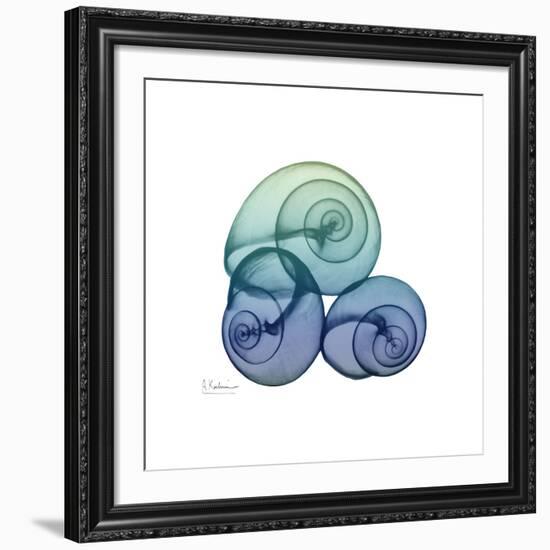 Sea Sky Snails-Albert Koetsier-Framed Giclee Print