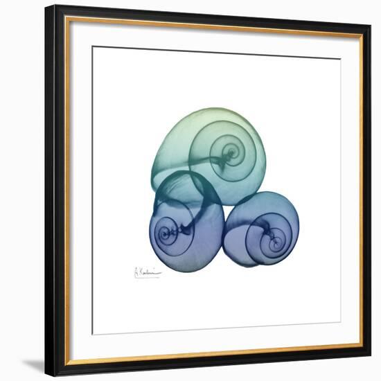 Sea Sky Snails-Albert Koetsier-Framed Giclee Print