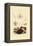 Sea Slug, 1833-39-null-Framed Premier Image Canvas