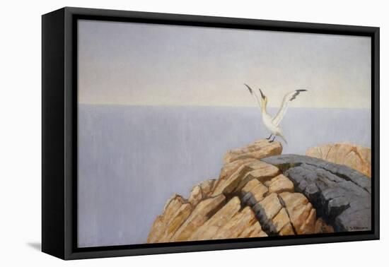 Sea Sole, 1893-Theodor Severin Kittelsen-Framed Premier Image Canvas