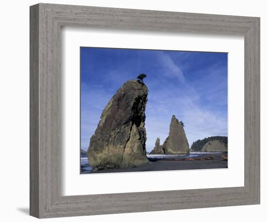 Sea Stacks along Shores of Olympic National Park, Washington, USA-Paul Souders-Framed Photographic Print