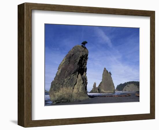 Sea Stacks along Shores of Olympic National Park, Washington, USA-Paul Souders-Framed Photographic Print