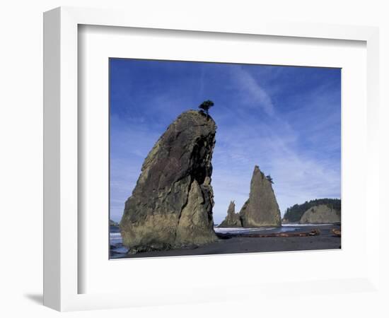 Sea Stacks along Shores of Olympic National Park, Washington, USA-Paul Souders-Framed Photographic Print